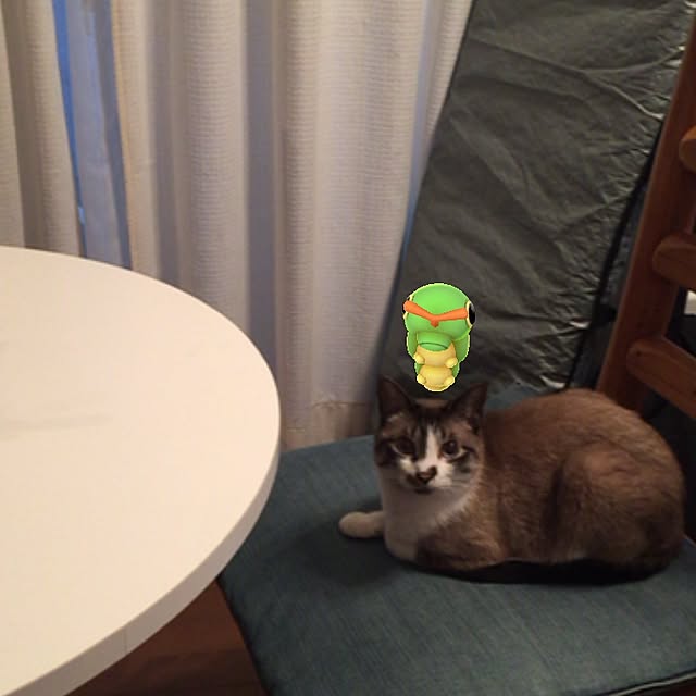 bowbowcoさんの実例写真