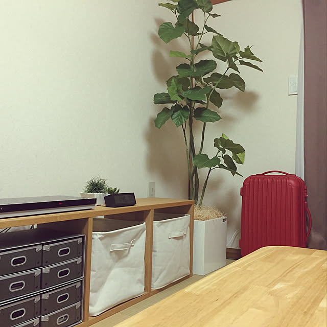 m.r.iさんの実例写真