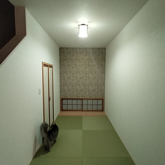 asukaさんの実例写真
