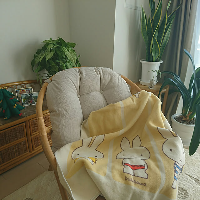 YuriYuriさんの実例写真