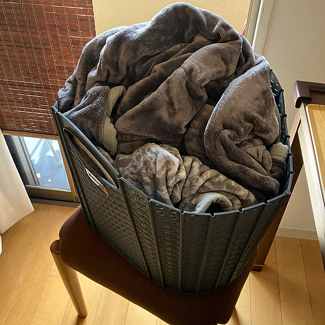 koshiregutyoさんの部屋