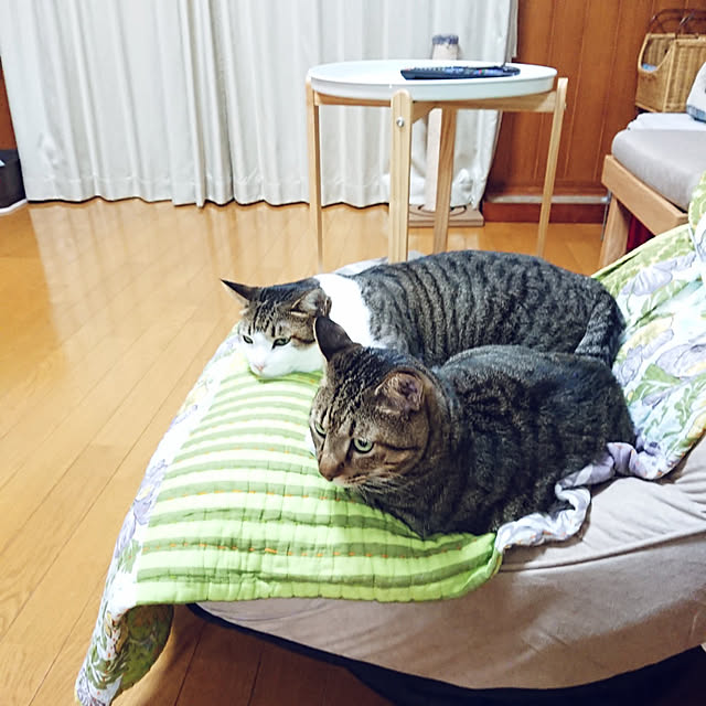 nachiさんの実例写真
