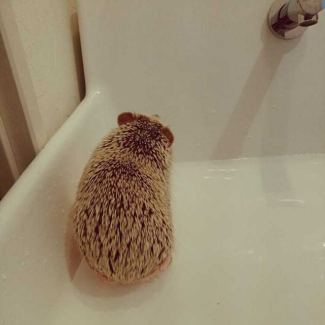 kuruさんの実例写真