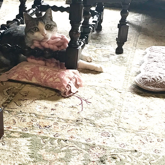 emmyyさんの実例写真