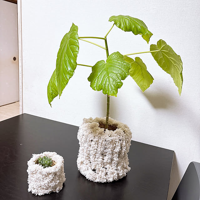 y.frvr.ks-lvyuiさんの実例写真