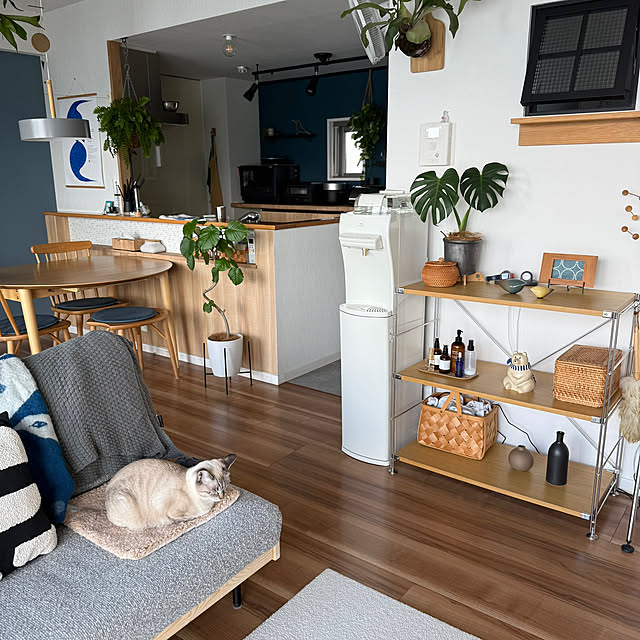 amさんの実例写真