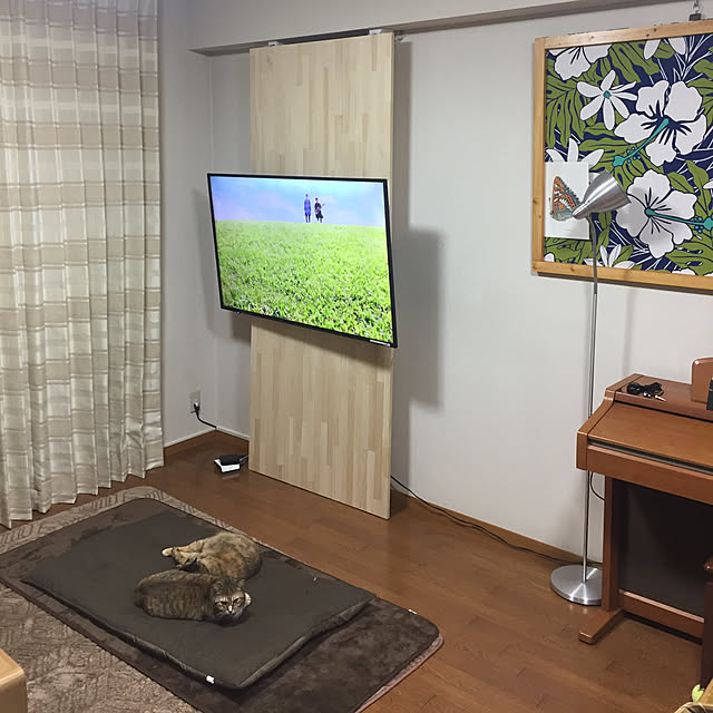 実例写真