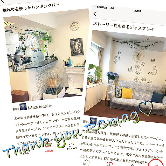 Sakura_hanaさんの実例写真
