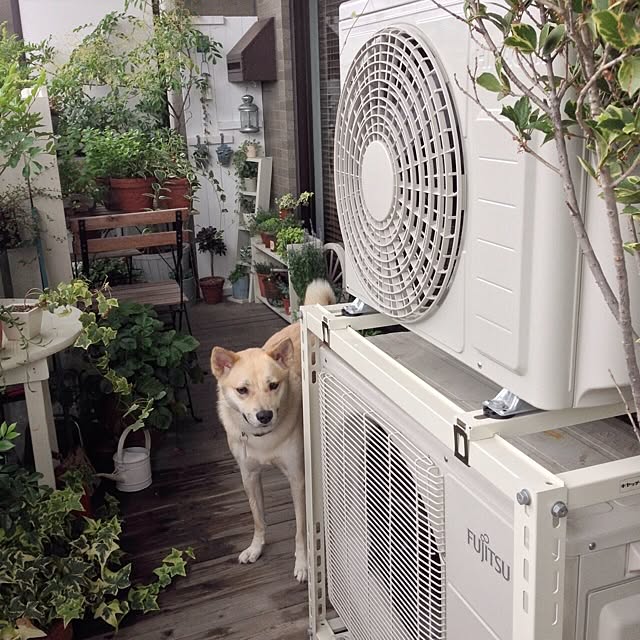 leonaさんの実例写真