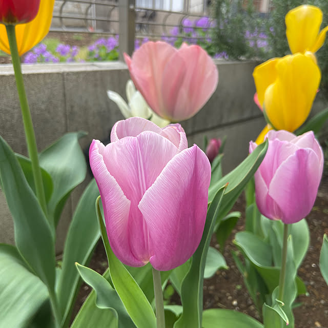 Haruさんの実例写真