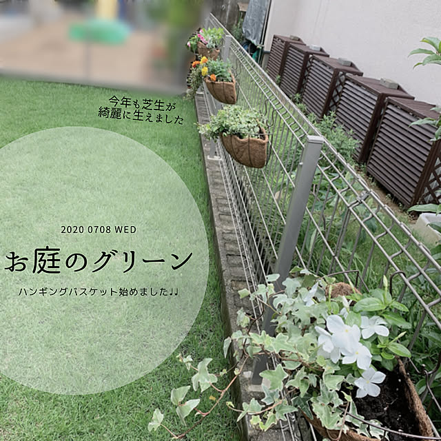 taachanさんの実例写真