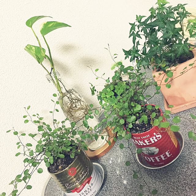 TAAK0727さんの実例写真