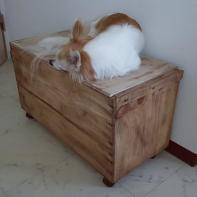 nonさんの実例写真