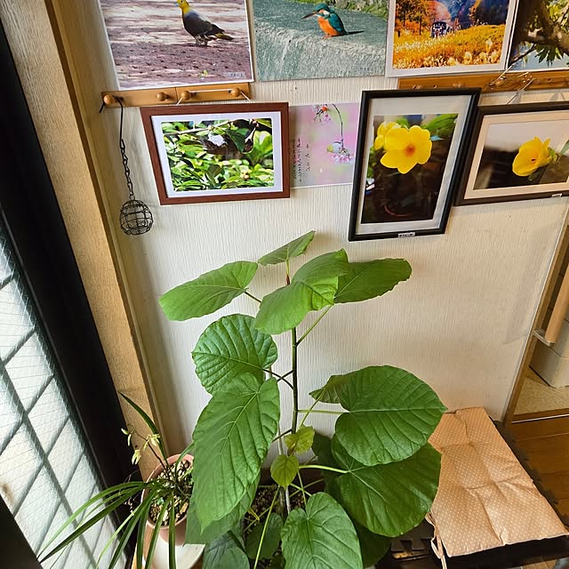 mitsuyama3136さんの実例写真