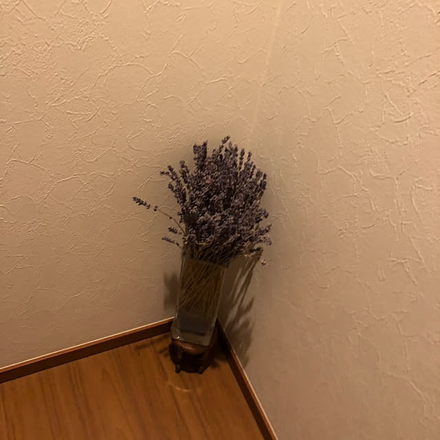 RUKIさんの実例写真