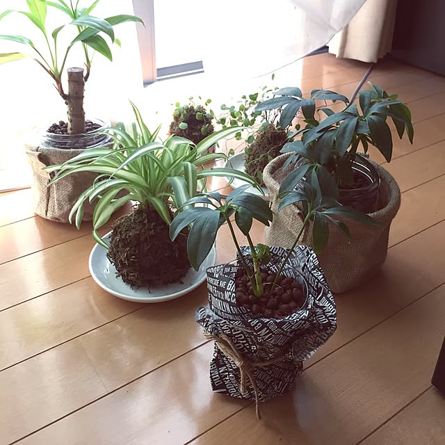 akeeさんの実例写真