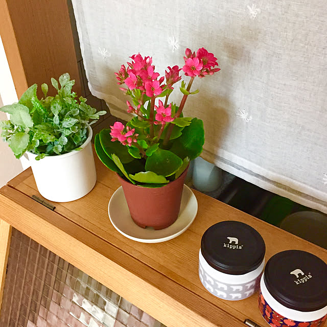 sacoさんの実例写真