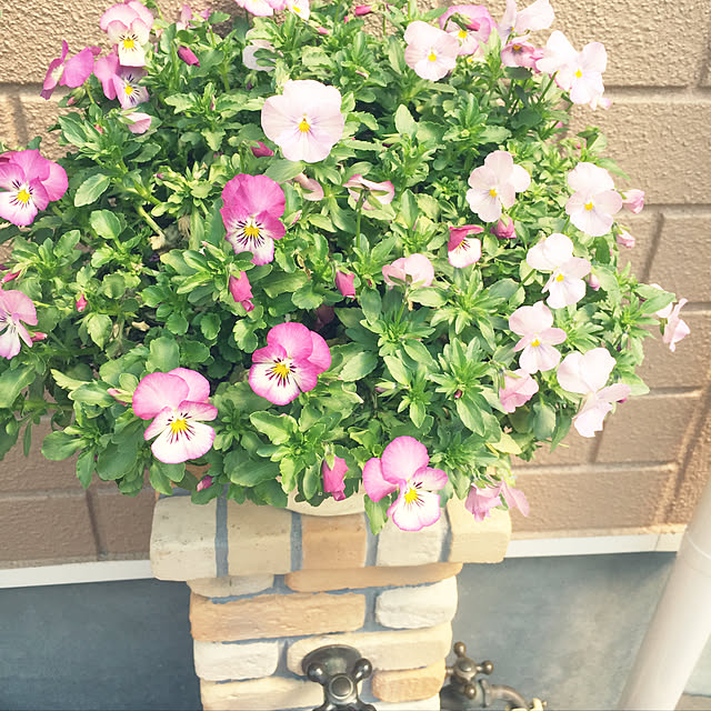 atsu31さんの実例写真