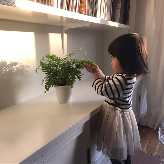 yosuさんの実例写真