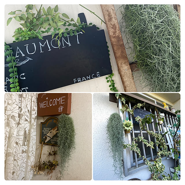mamiさんの部屋