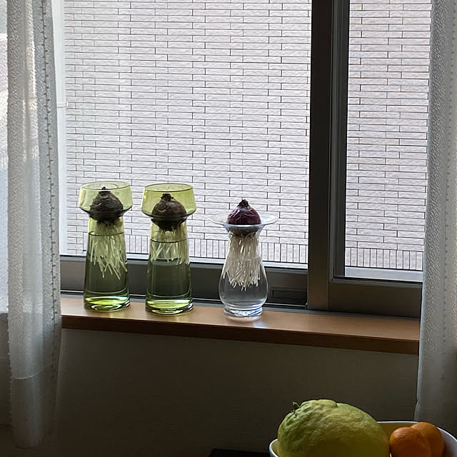 sacchiさんの実例写真