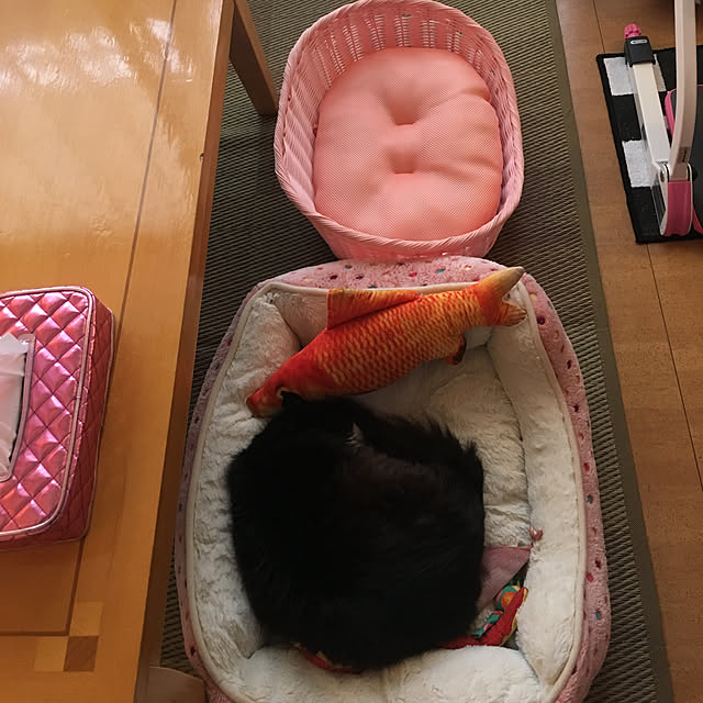 kanaさんの実例写真