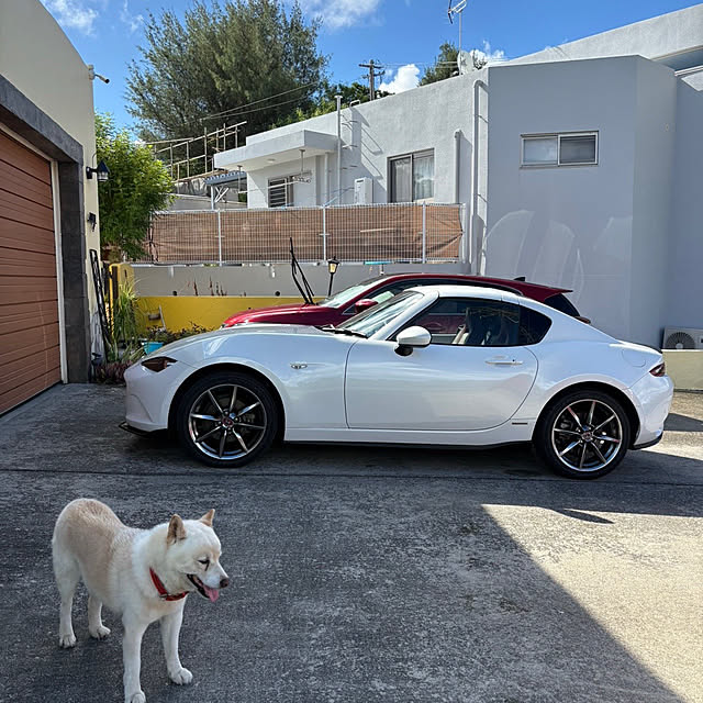 bu-bu-chanさんの部屋