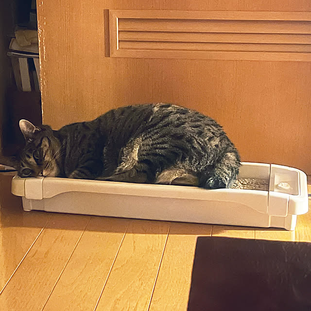 Mさんの部屋