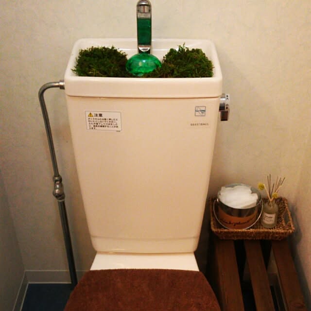 msh_n9さんの実例写真