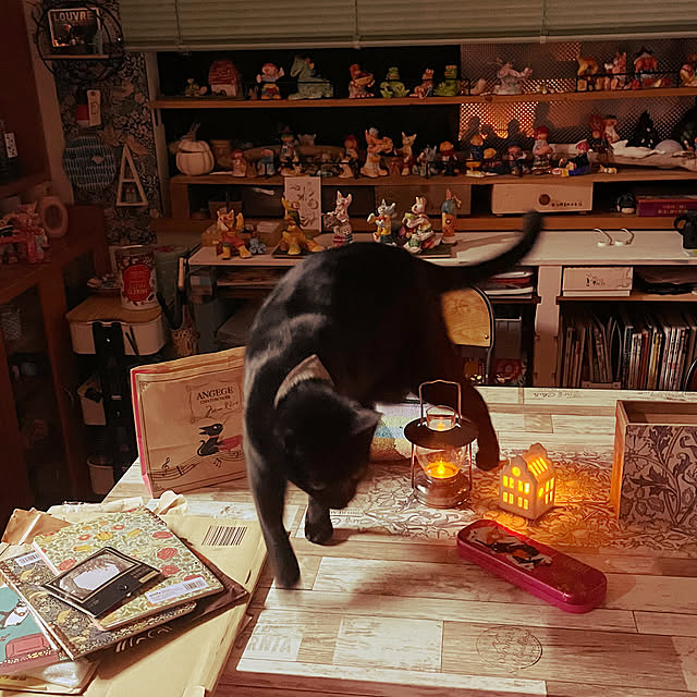 jijiさんの実例写真