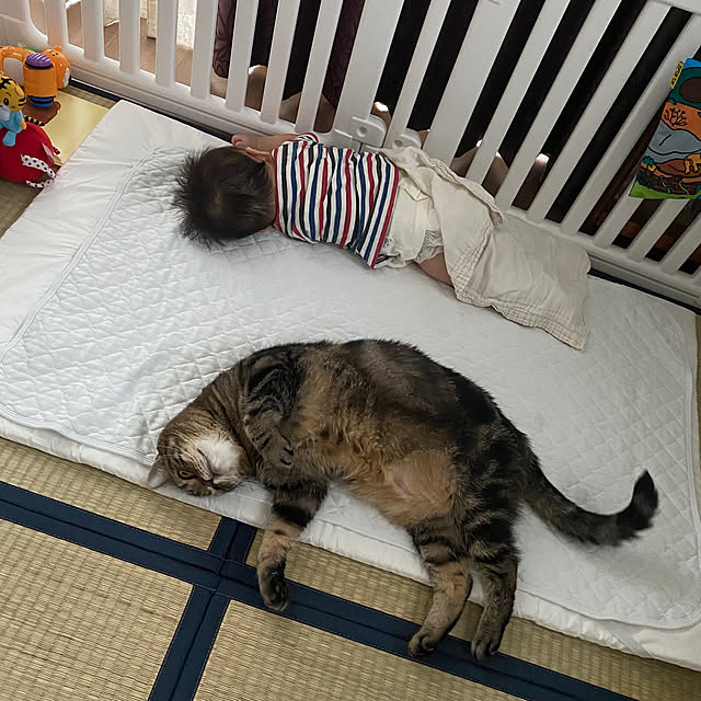 mikomaruさんの実例写真