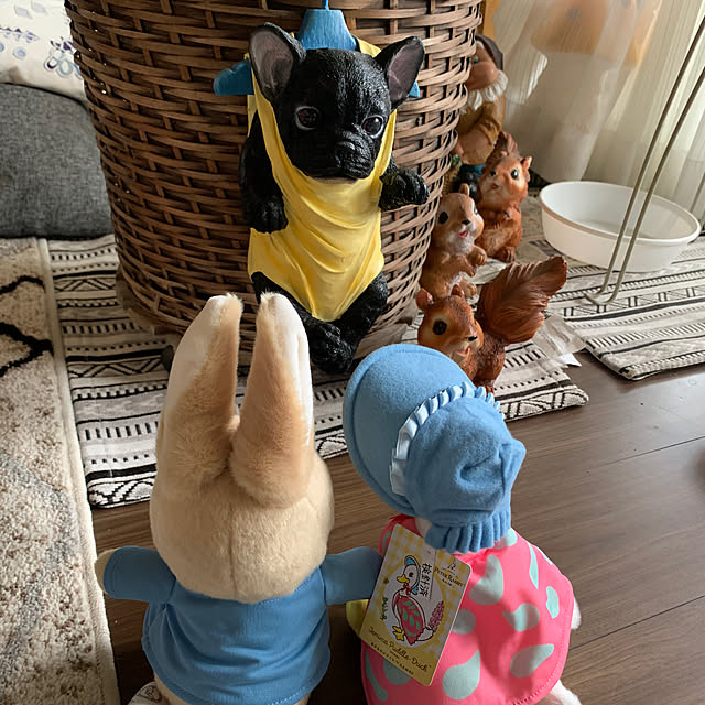 Aqettyさんの部屋
