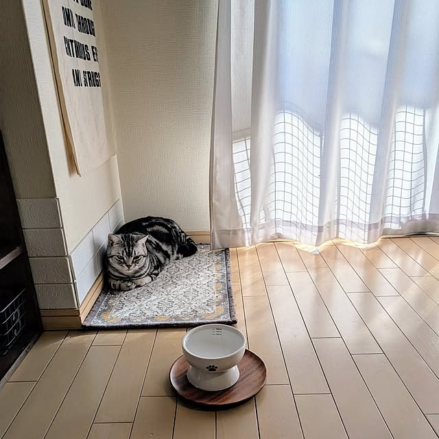 lovepeaceさんの部屋