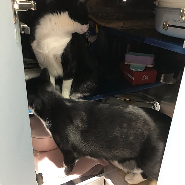 Fujikoさんの部屋