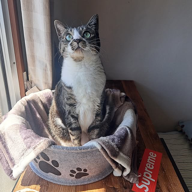 shinoさんの部屋