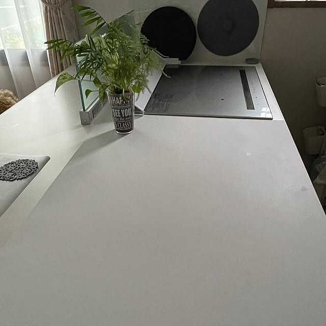 naotokahoさんの部屋