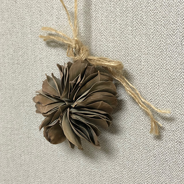 GUMIMINさんの実例写真