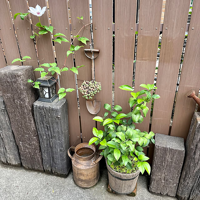 tabasaさんの部屋