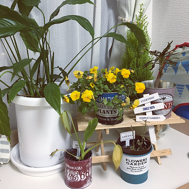 yukkycoさんの実例写真