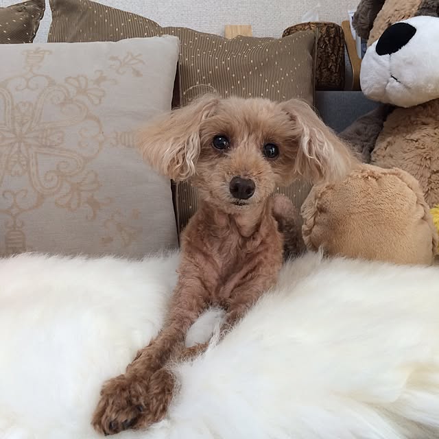 mioさんの実例写真