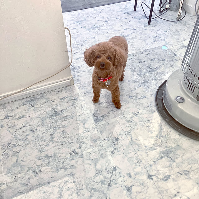 MOMOMAMAさんの部屋