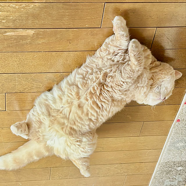 naokoさんの部屋
