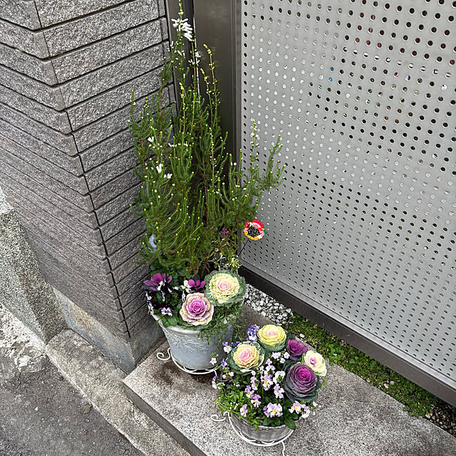 maayaさんの部屋