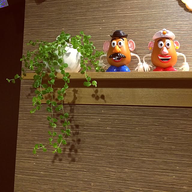 haruuuuさんの実例写真