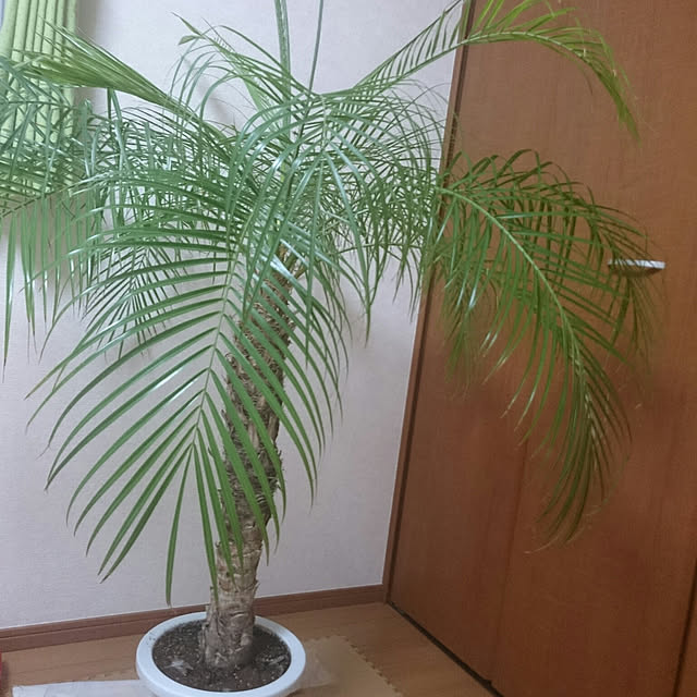 hideさんの実例写真