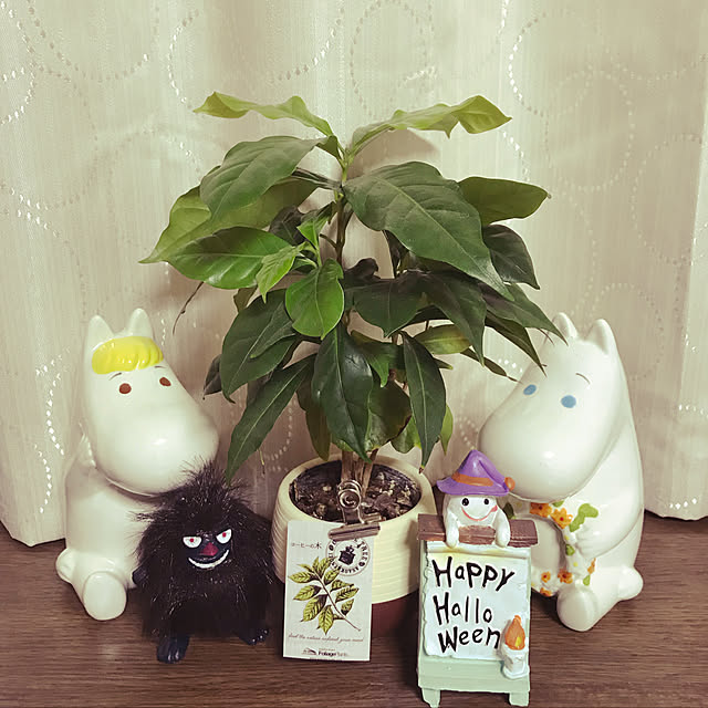 mkmkmoominさんの実例写真