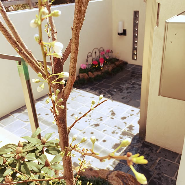 takohimeさんの実例写真