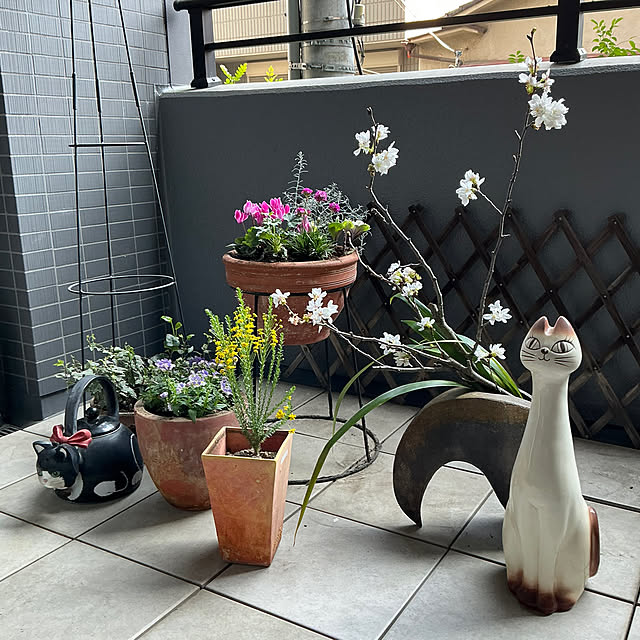 bebeさんの実例写真