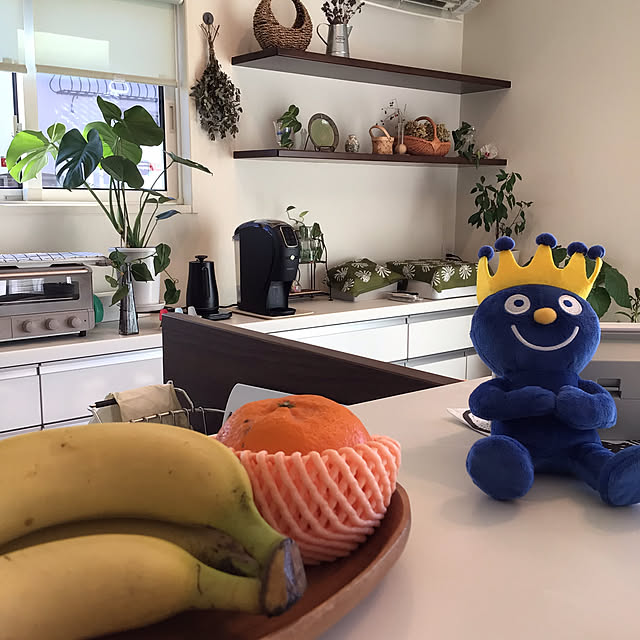 観葉植物/引き出し収納/カップボード/グリーン/キッチンカウンター...などのインテリア実例 - 2025-04-06 15:52:08