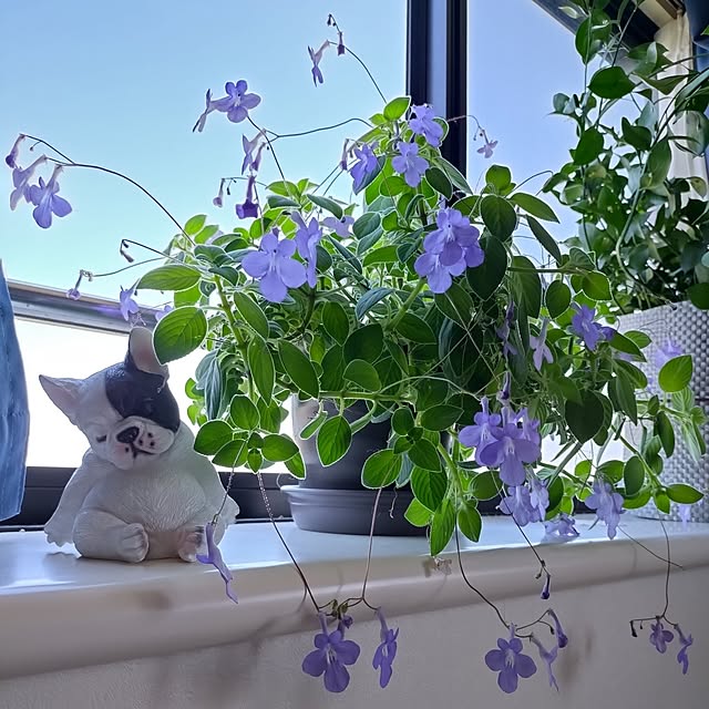 NOAHさんの実例写真
